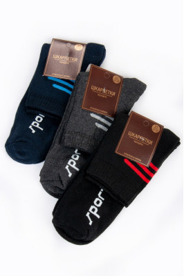 Шкарпетки чоловічі махрові