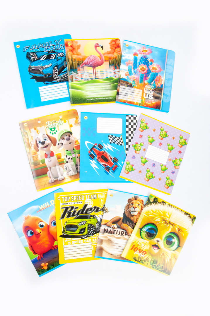 Зошит 12 арк лінія